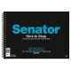 SENATOR BLOCK DIBUJO ESPIRAL 20 HOJAS 150 GR SIN RECUADRO FOLIO PROLONGADO